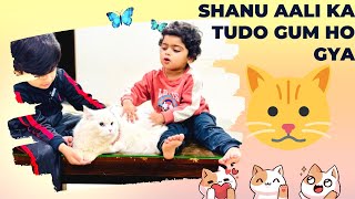 Shanu or aali ka tudo 🐱 gum ho gya 😱 [upl. by Oberon]