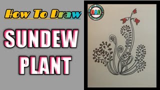 sundew plant drawing  sundew drawing  sundew diagram  how to draw sundew plant [upl. by Assirehs993]