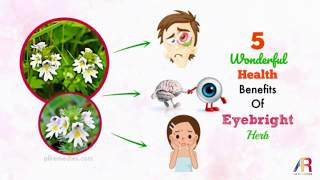 EYEBRIGHT EYEWASH Update  With Pictures BEFORE AND AFTER [upl. by Delahk]