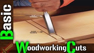 Joinery All Basic Woodworking Cuts You Need To Know [upl. by Sill220]