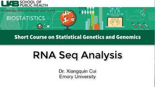 Transcriptome Analysis using RNASeq Data [upl. by Rog]