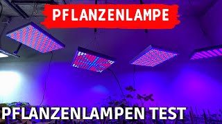 TEST Profi LED Pflanzenlampe vs billiges Amazon Grow Light  LED Pflanzenlichter Vergleich [upl. by Tedd]