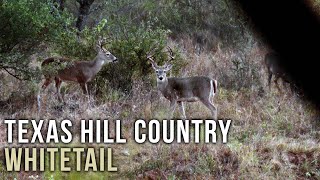 Our TOP 10 PUBLIC LAND Tactics for Whitetails [upl. by Crutcher696]