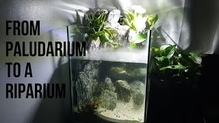 From Paludarium to a Riparium [upl. by Llenreb]