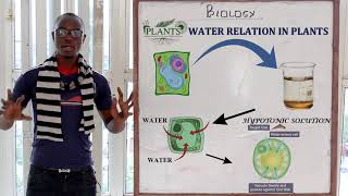 8 Osmosis Biology Form 1 [upl. by Enilorak]