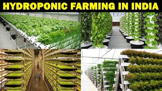 HYDROPNIC FARMING IN INDIA  Soilless farming at Home  Vertical Farming  Terrace Farming  Garden [upl. by Reave]