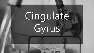 Learn how to pronounce Cingulate Gyrus [upl. by Dygert]