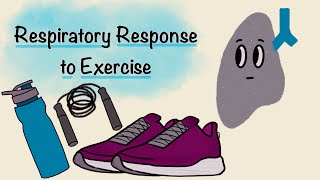 Respiratory Response To Exercise  Respiratory Physiology [upl. by Aiyt]