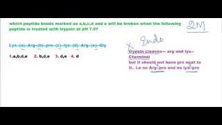 Trypsin digestion question 2 [upl. by Macario598]