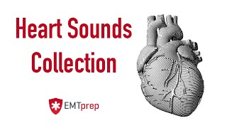 Heart Sounds Collection  EMTprepcom [upl. by Beera]