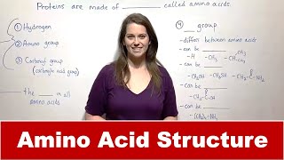 Amino Acid Structure and Bonding [upl. by Pettit]