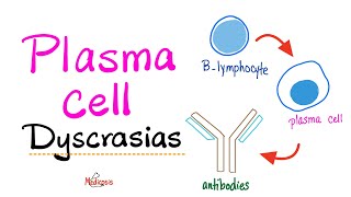 Multiple Myeloma Waldenström macroglobulinemia MGUS MGRS  Plasma Cell Dyscrasias  Introduction [upl. by Idahs]