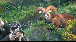 Hunting Mouflon in Croatia  on island Dugi Otok [upl. by Honig]