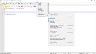 XML Editar un documento XML con Notepad [upl. by Relyc]