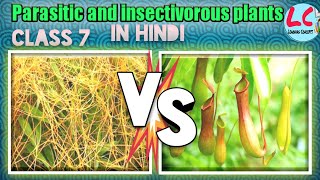 Parasitic and Insectivorous plants  Science  Class 7  in Hindi [upl. by Kcirtapnaes]