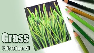 How to draw GRASS in colored pencil [upl. by Niklaus]