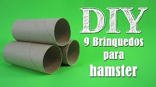 DIY 9 Brinquedos para Hamster Com Rolos de Papel [upl. by Garlan659]