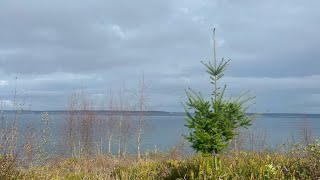 Fort Worden Historical State Park  Port Townsend WA [upl. by Olihs790]