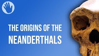 The Origins of the Neanderthals [upl. by Stephani476]