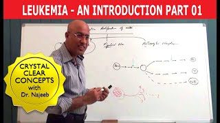 Leukemia  Causes and Symptoms  Part 13 [upl. by Notnyw]