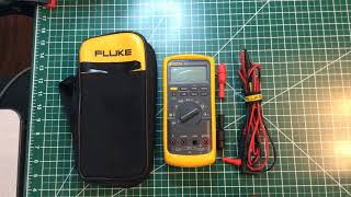 FLUKE 87 V True RMS Multimeter  Mini Review [upl. by Dhar382]