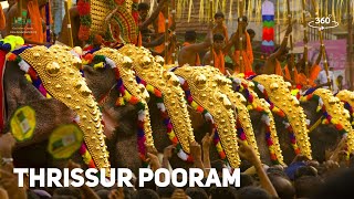 Thrissur Pooram  A Feast for the Eyes  360° Experience  Temple Festivals  Kerala Tourism [upl. by Gentilis]