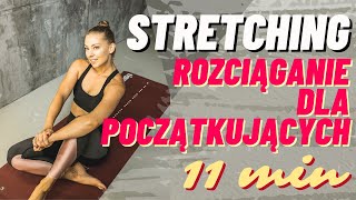 Stretching dla początkujących rozciąganie  Paula Piotrzkowska [upl. by Ahsar]