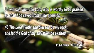 Scripture song Psalms 18346 I will call upon the Lord [upl. by Suter]