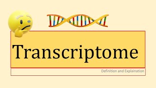 Transcriptome [upl. by Ylus]