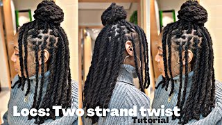 Locs Two Strand Twists Tutorial and Style Idea [upl. by Halivah]