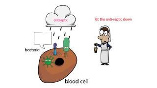 antiseptic vs disinfectant [upl. by Haidebej953]