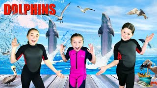 Dolphins for Kids  All About Dolphins  Bottlenose Dolphins [upl. by Ahsikram]