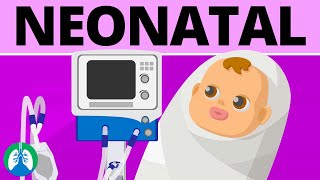 Why Im a Neonatal Nurse Practitioner [upl. by Ilowell240]