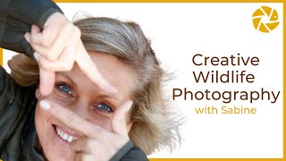 Creative Wildlife Photography Tips with Sabine Stols [upl. by Orianna]