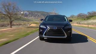 Know Your Lexus Lexus Genuine Dash Camera InCar Tutorial [upl. by Iarahs54]