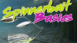 Bass Fishing Basics How To Fish A Spinnerbait [upl. by Elgar]