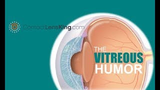 The Vitreous Humor  Virtreous Membrane Posterior Hyaloid and Anterior Hyaloid [upl. by Gipson]