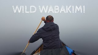 Wild Wabakimi  Series Trailer [upl. by Ailat]