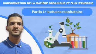 Consommation de la matière organique et flux dénergie  partie 4 La chaine respiratoire [upl. by Sarena]