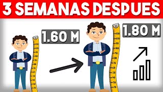 ✅ 5 Ejercicios Para CRECER DE ESTATURA Fácil y Rápido  Ejercicios de Estiramiento [upl. by Yelsnit490]