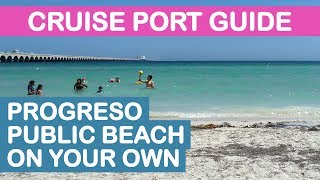 Progreso Yucatán Cruise Port Guide Public Beach On Your Own [upl. by Birdie]