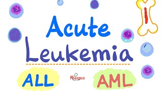 Chronic myeloid leukemia Pathogenesis Staging and periheral blood findings [upl. by Esinehs]