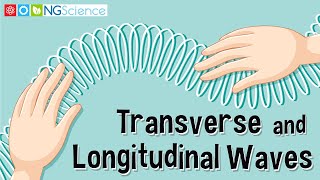 Transverse and Longitudinal Waves [upl. by Eonak]