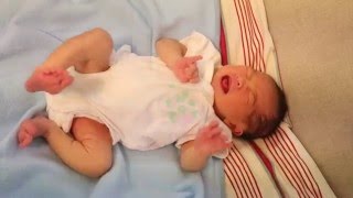 Newborn Baby Kicking and Crying [upl. by Carolynn237]