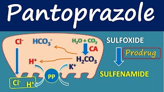 Pantoprazole  Mechanism side effects and uses [upl. by Thessa]