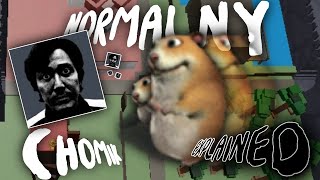 Normalny Chomik Explained [upl. by Aleciram]