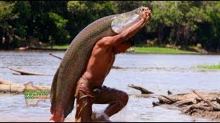 Peces del Amazonas del Beni [upl. by Gerard76]