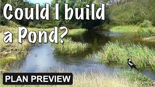 Damming the Creek  Pond Building  Early Thoughts ⛏ [upl. by Lani]