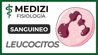 Clase 33 Fisiología Sanguínea  Leucocitos e Inflamación IGdoctorpaiva [upl. by Norabel]