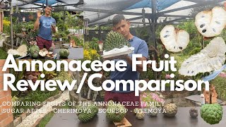 Annonaceae Fruit Review  Comparison  Soursop Cherimoya Sugar apple amp Atemoya [upl. by Earb]